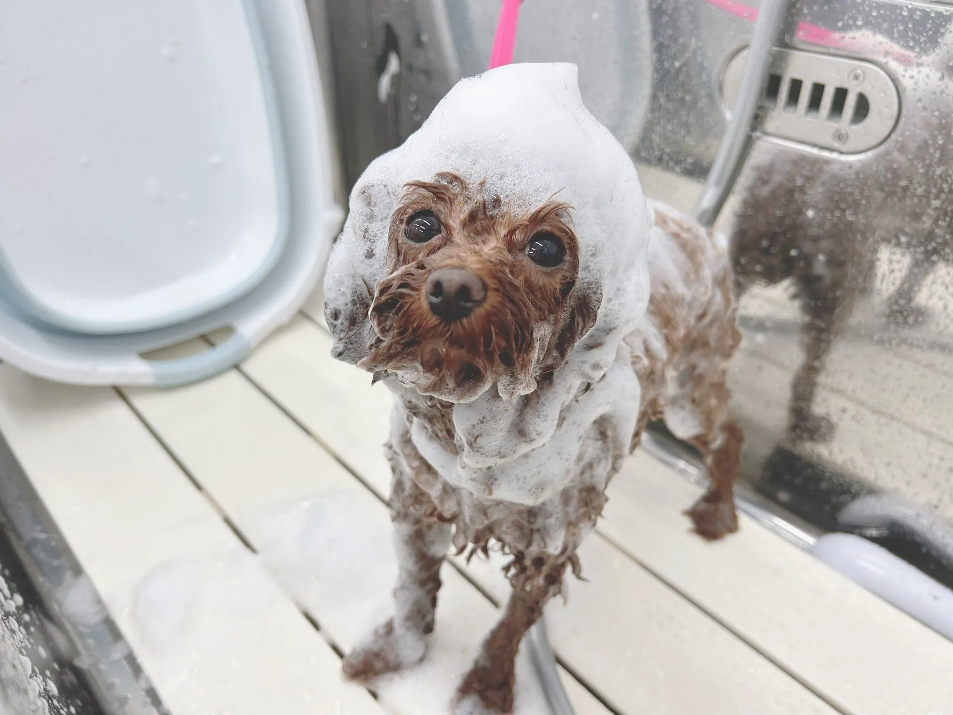 ましゅまろはちみつ泡パック